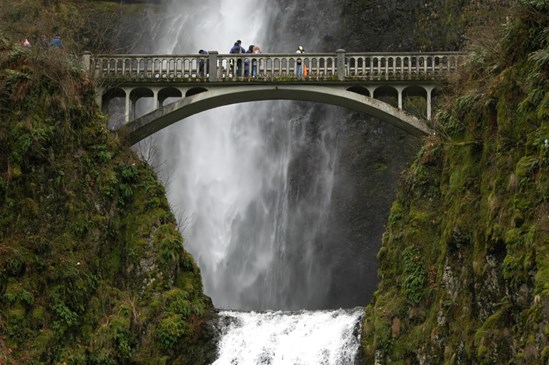 Bridge