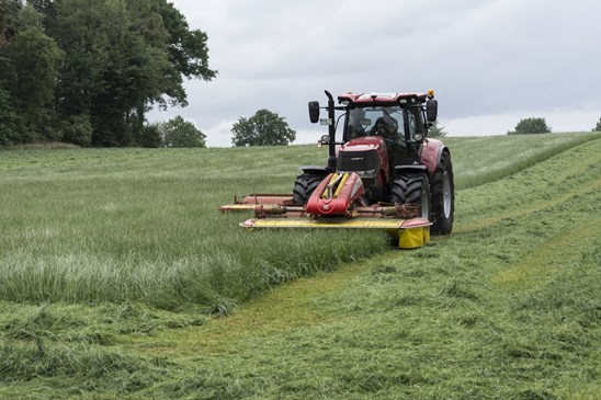 lawn-mowing-2424933