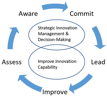 Model-InnovationMetrics-GertStaal