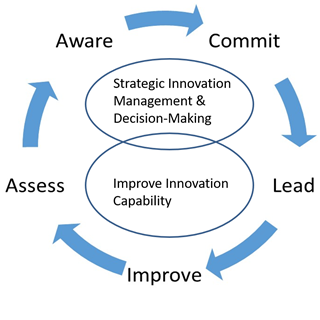 Model-InnovationMetrics-GertStaal