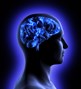 iStock_000020049241Medium-Brain